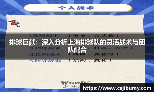 排球巨献：深入分析上海排球队的灵活战术与团队配合