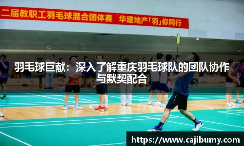 羽毛球巨献：深入了解重庆羽毛球队的团队协作与默契配合