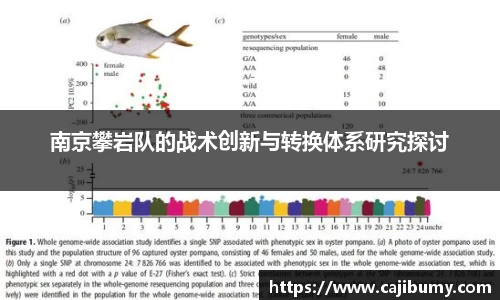 南京攀岩队的战术创新与转换体系研究探讨