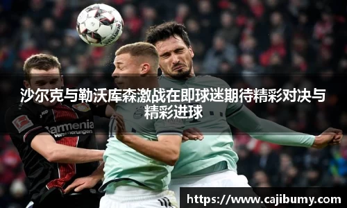 沙尔克与勒沃库森激战在即球迷期待精彩对决与精彩进球