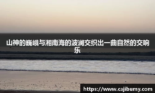 星空体育网站入口