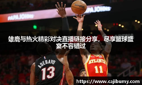 雄鹿与热火精彩对决直播链接分享，尽享篮球盛宴不容错过