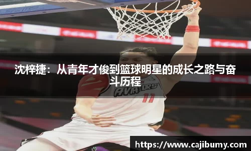 星空体育网站入口