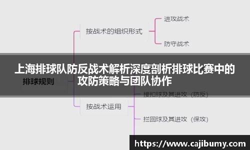 上海排球队防反战术解析深度剖析排球比赛中的攻防策略与团队协作