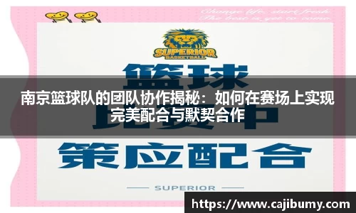 星空体育(中国)官方网站
