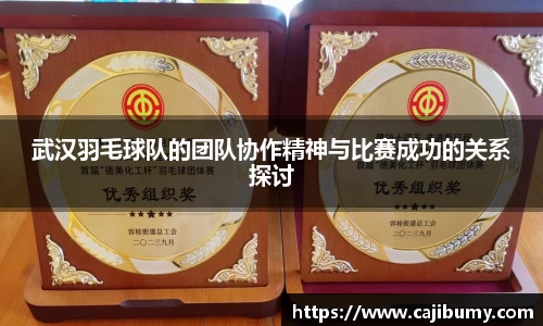 武汉羽毛球队的团队协作精神与比赛成功的关系探讨
