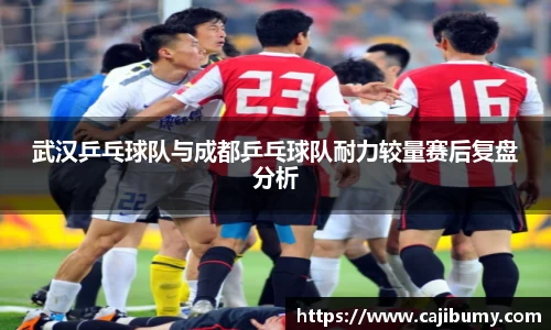 武汉乒乓球队与成都乒乓球队耐力较量赛后复盘分析