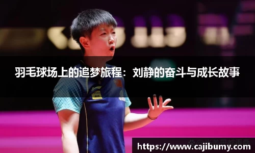 羽毛球场上的追梦旅程：刘静的奋斗与成长故事